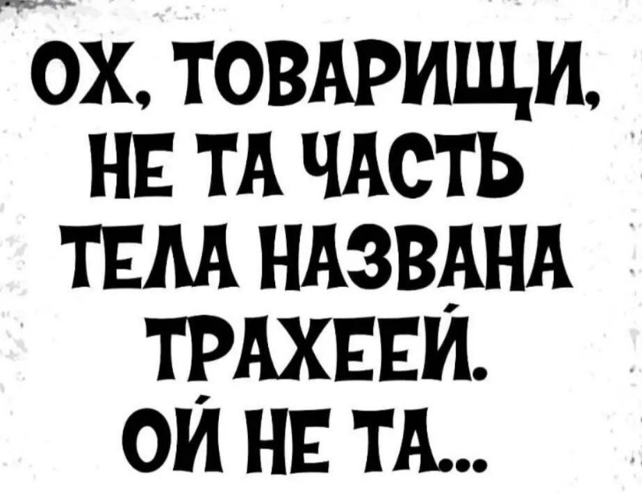 ох товдрищи нг ТА чАсть твм ндзвшд ТРАХЕЕИ ои нв тж