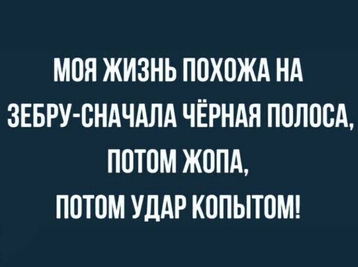 МОН ЖИЗНЬ ППХОЖА НА ЗЕБРУ СНАЧАЛА ЧЁРНАЯ ПОЛОСА ПОТПМ ЖОПА ПОТПМ УДАР КППЫТОМ