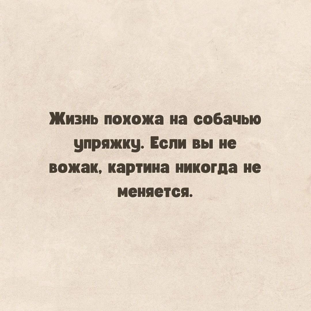 Жизнь похожа на собачью упряжку Если вы не вожак картина никогда не меняется