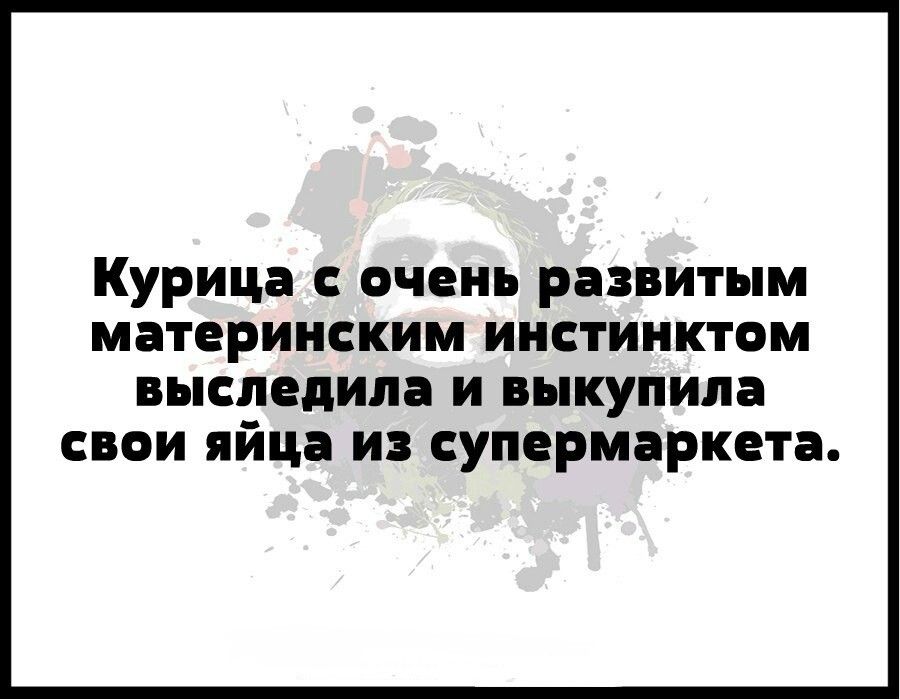 Курица с очень развитым материнским инстинктом выследили и выкупила свои яйца и супермаркета