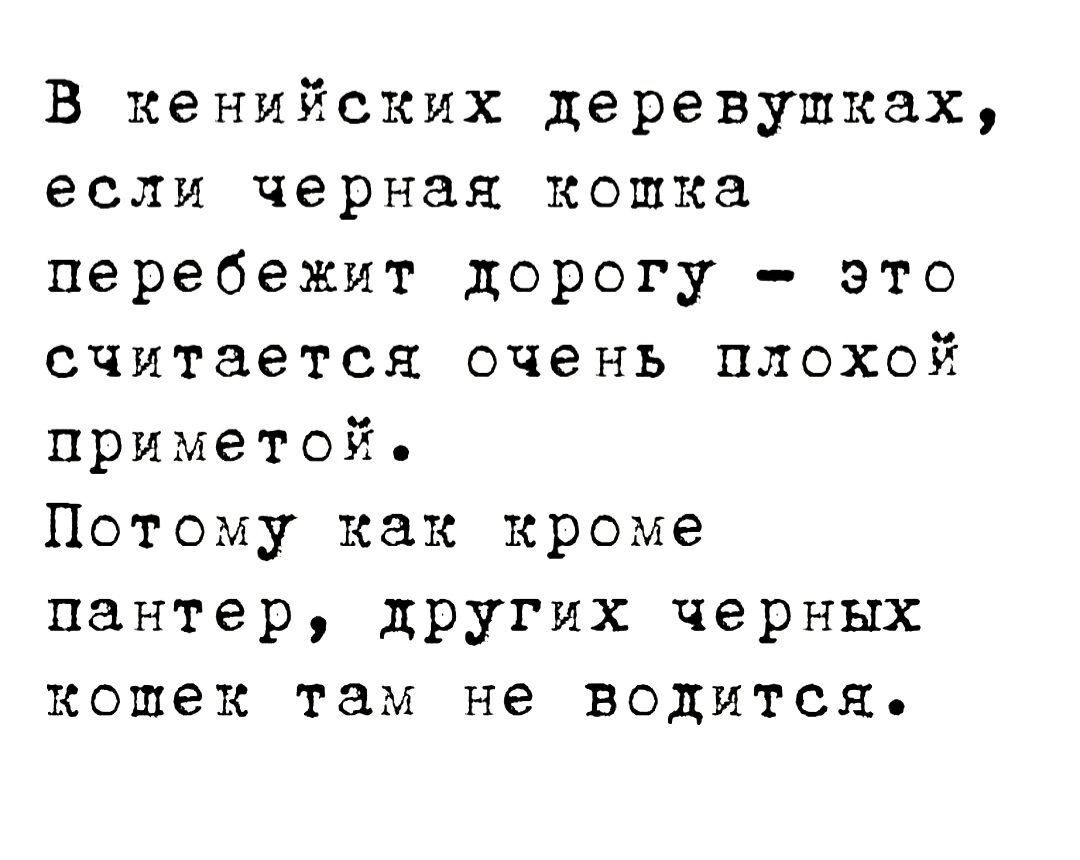 В кенийских деревушках если черная кошка перебежит дорогу это считается очень плохой приметой Потому как кроме пантер других черных кошек там не водится