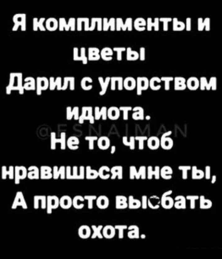 Я комплименты и цветы дарил с упорством идиота Не то чтоб нравишься мне ты А просто выебать охота