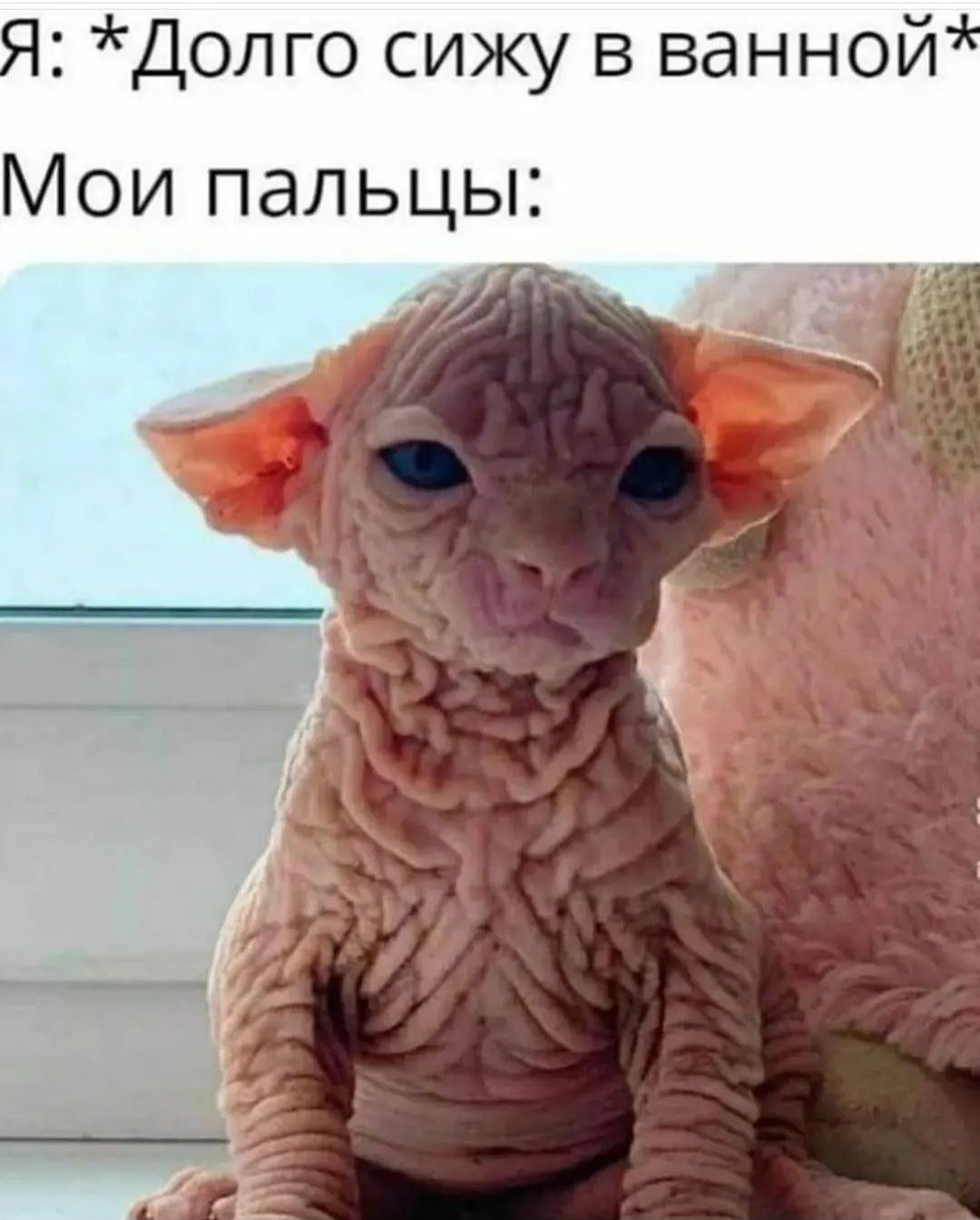 Я Долго сижу в ванной Мои пальцы