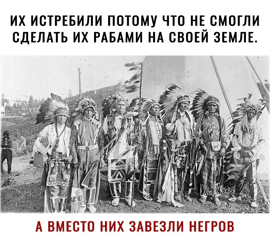 ИХ ИВТРЕБИЛИ ПОТОМУ ЧТО НЁВМПГЛИ СДЕЛАТЬ ИХ РАБАМИ НА СВОЕИ ЗЕМЛЕ А ВМЕБЮ НИХ ЗАВЕЗЛИ НЕГРОВ