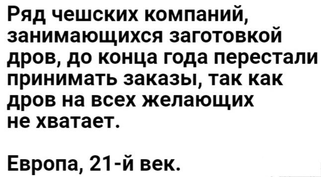 Ряд чешских компаний занимающихся заготовкой дров до конца года перестали принимать заказы так как дров на всех желающих не хватает Европа 21 й век