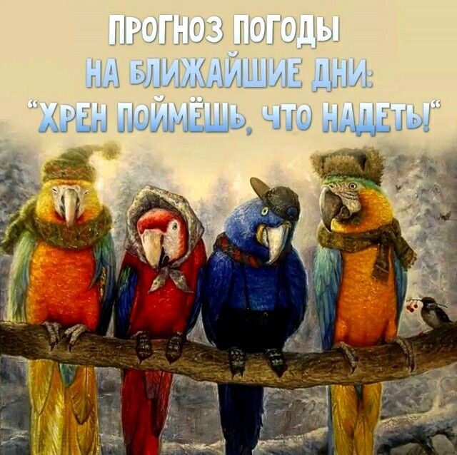 г1ці_Ёг ЦМ Рш гум на _а и мыш _