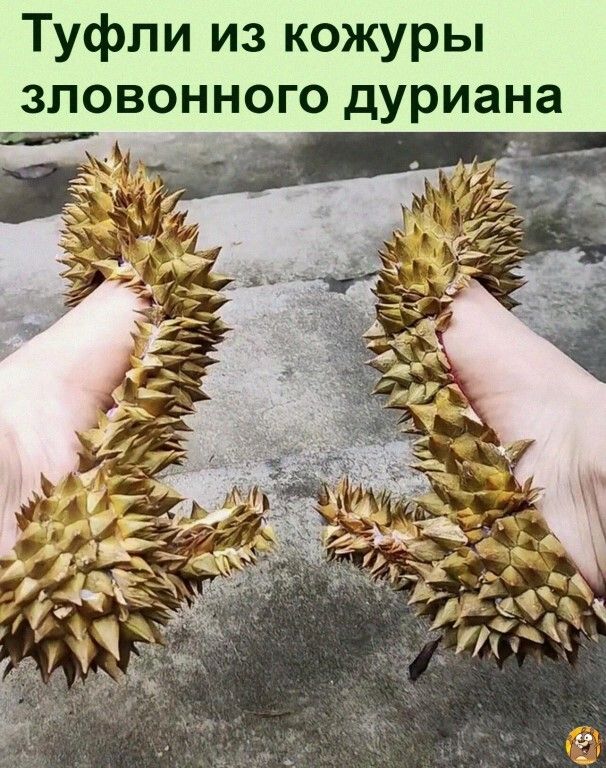 Туфли из кожуры зловонного дуриана