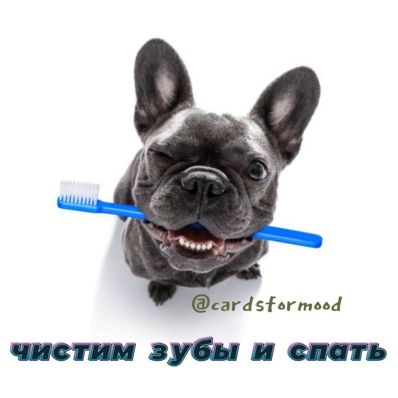 загадать штатив пп