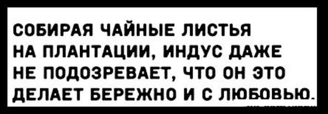 СОБИРАЯ ЧАЙНЫЕ ЛИСТЬЯ НА ПЛАНТАЦИИ индус дАЖЕ НЕ ПОДОЗРЕВАЕТ ЧТО ОН ЭТО дЕЛАЕТ БЕРЕЖНО И с ЛЮБОВЬЮ