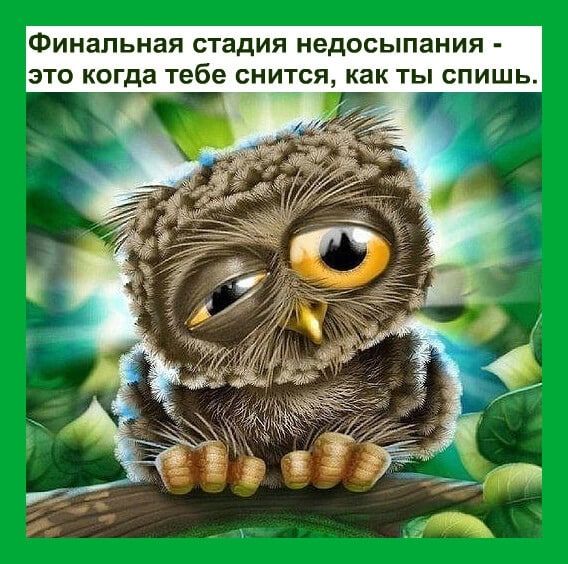 Финальная стадия недосыпания это когда тебе снится как ты спишь