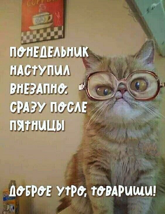 попыыьпцк пАступцл дитина д сту пеш щ _ пятницы ДОБРОЕ УТРО ТОВАРИЩИ