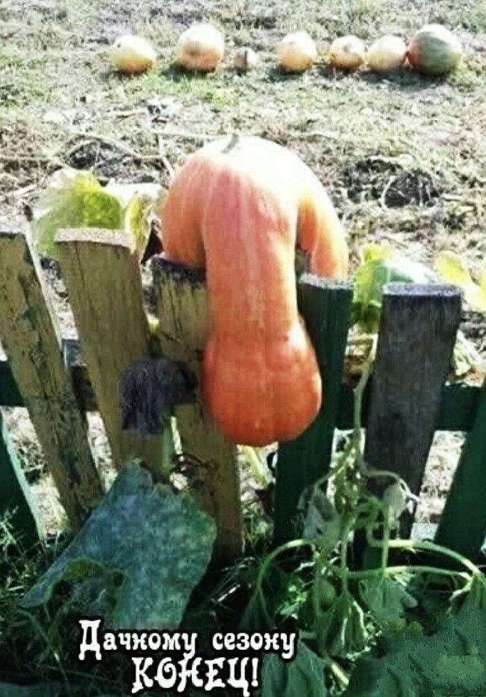 ддчкъйёеіігиу