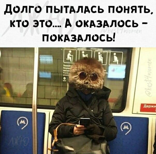 долго ПЫТАЛАСЬ понять кто это А окдздлось покдздлось
