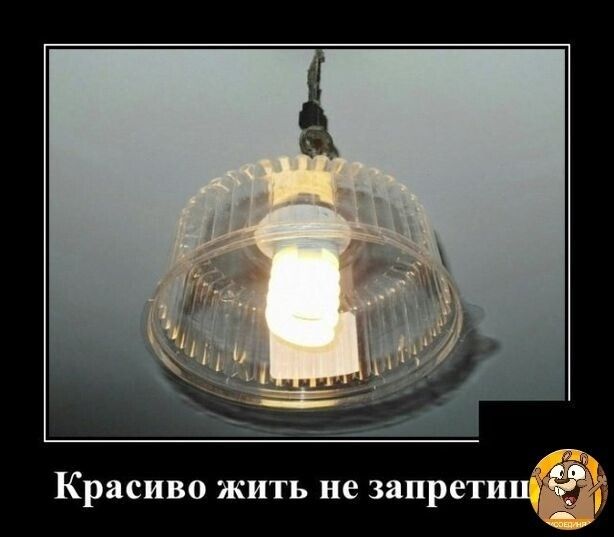 Красиво жить не запретип