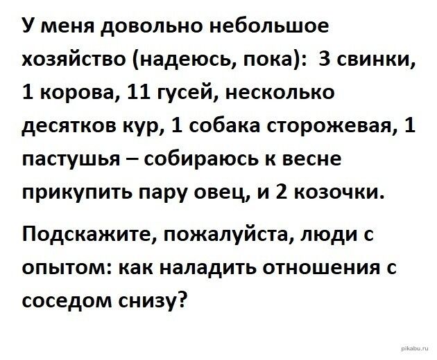 У меня довольно небольшое хозяйство надеюсь пока 3 свинки 1 корова 11 гусей несколько десятков кур 1 собака сторожевая 1 пастушья собираюсь к весне прикупить пару овец и 2 козочки Подскажите пожалуйста люди с опытом как наладить отношения с соседом снизу