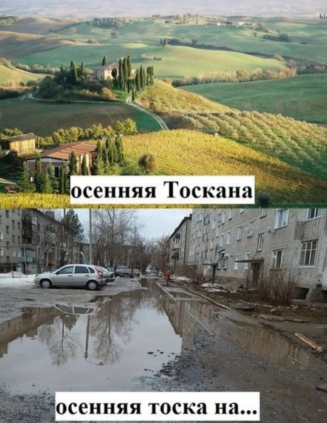 осенняя ТОСК на
