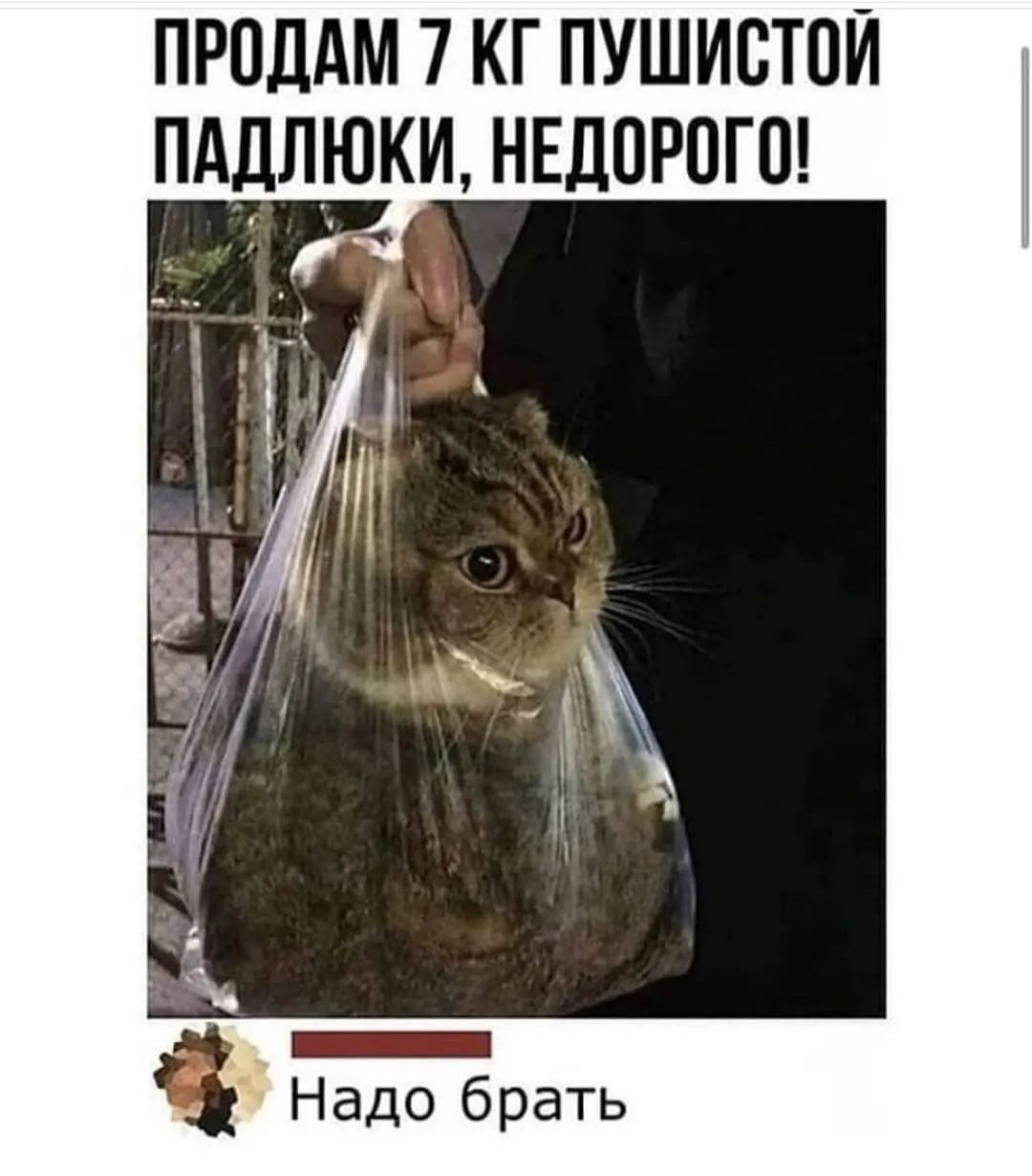 ПРПЛАМ 7 КГ ПУШИВТПИ ПАДЛЮКИ НЕДОРОГП