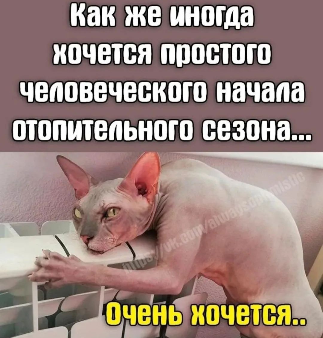Как же иногда ипчется простого человеческого начала отопительного сезона