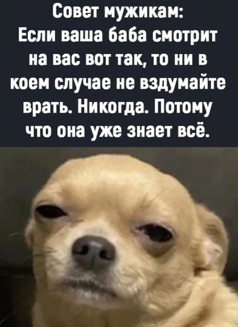 Совет мужикам Если ваша баба смотрит на вас вот так то ни в коем случае не вздумайте врать Никогда Потому что она уже знает все