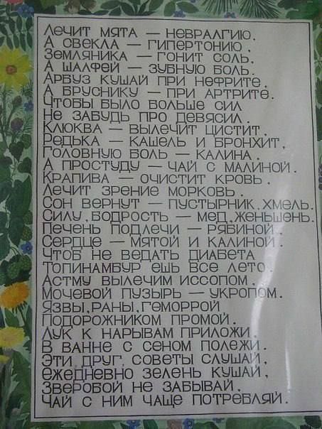 Аечит МЯГА НЭБРААГ А свекм гипертониЁР емдцним гонит сот шифеи знанию БОАЬ из кими при натрите БРЧОНИКЫ при АРТРИТБ овы БЫАО воьые см 9 зАБыць про певцоихх КВА вьиечит цистит ЭДЬКА КАШеАЬ и БРОНХИГ ОАОВНЦЮ вом КААИНА А простуду _ ЦАИ с ммичгюи КРАПИВА очистит кровь Аечит зрение морковь верни пыстырник СИАЦБОДРОСТЬ мецжень Печень подмечи рябина Дце мятои и КААИНО ЧТОБ не ведАгь ИАБеТА ПИНАМБШЗ ешь 