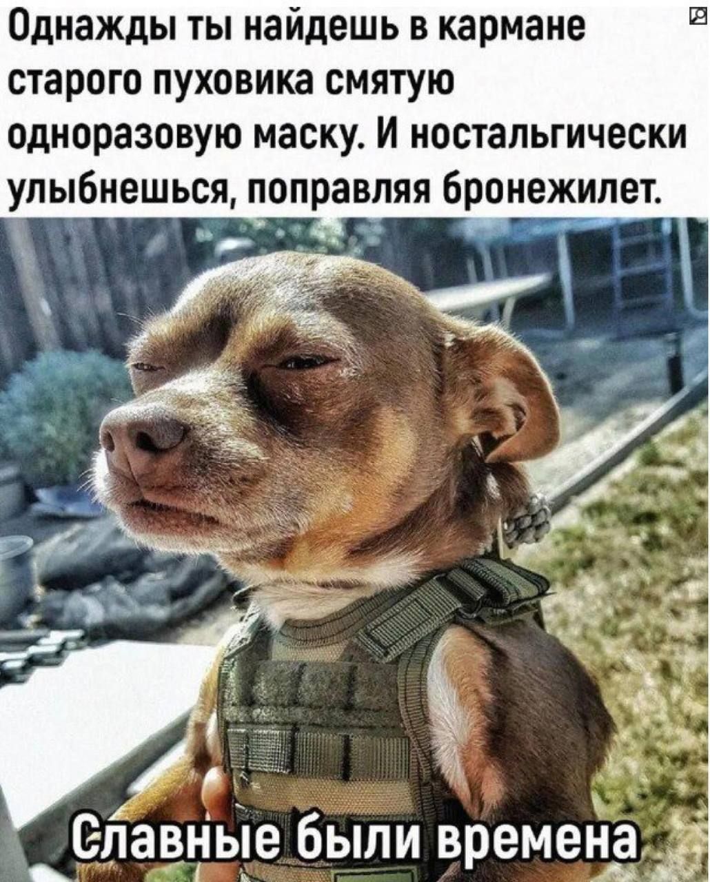 Однажды ты найдешь в кармане старого пуховика смятую одноразовую маску И ностальгически упыбнешься поправляя бронежилет