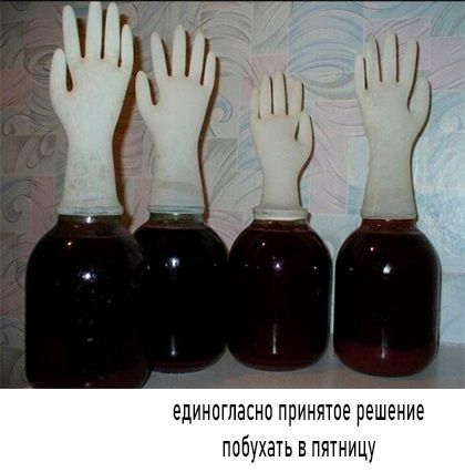 единогласни принятое решение побухать в пятницу