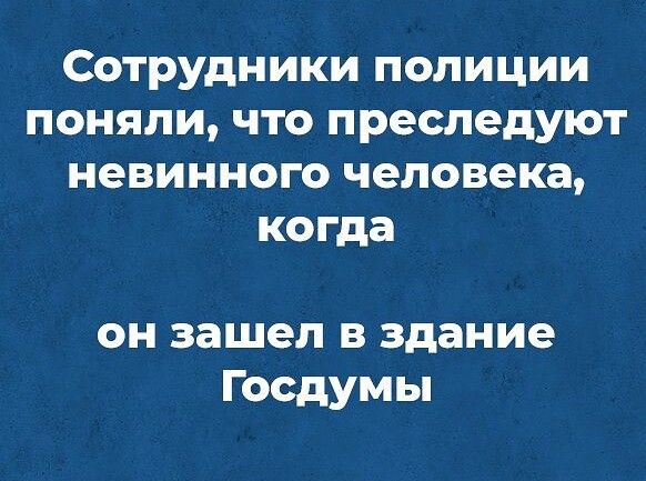 Сотрудники полиции поняли что преследуют невинного человека когда он зашел в здание Госдумы