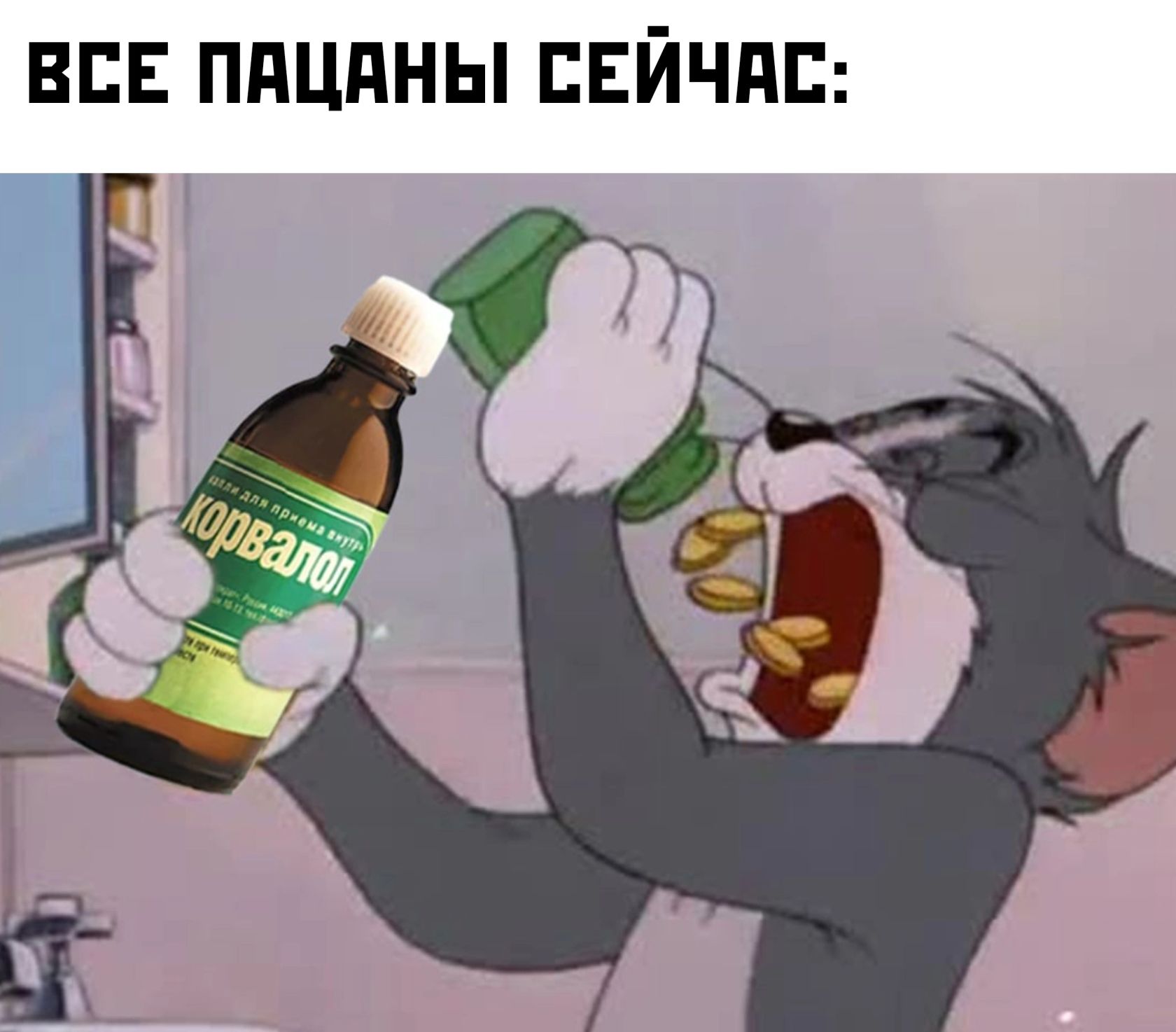 ВСЕ ППЦПНЫ БЕЙЧПБ