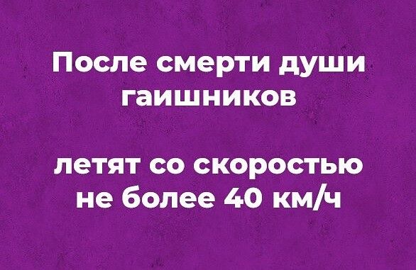После смерти души гаишников летят со скоростью не более 40 кмч
