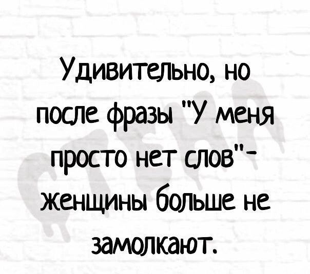Удивительно но после фразы У меня просто нет слов женщины бадьше не замолкают