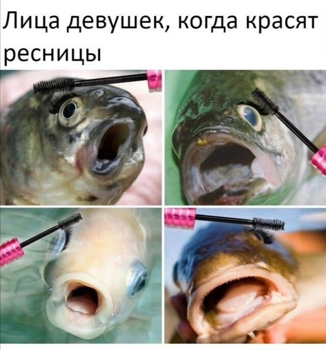 Лица девушек когда красят ресницы