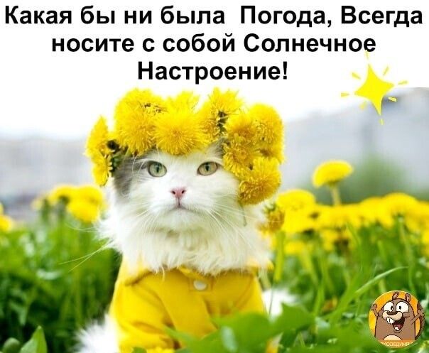 Какая бы ни была Погода Всегда носите собой Солнечное Настроение