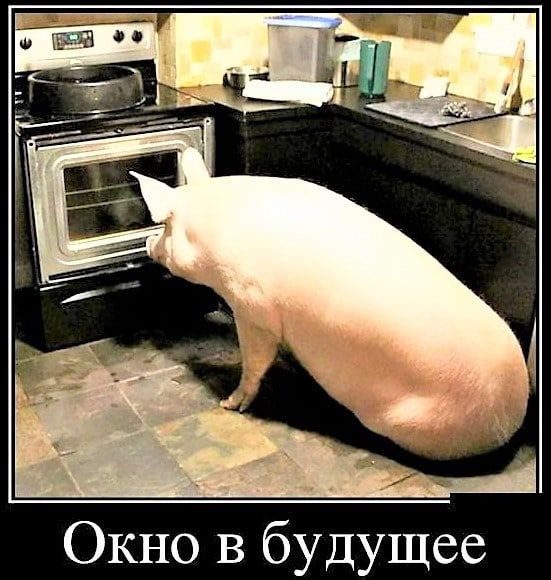 Окно в будущее