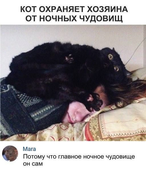 КОТ ОХРАНЯЕТ ХОЗЯИНА ОТ НОЧНЫХ ЧУДОВИЩ Мага Потому что главное ночное чудовище он сам