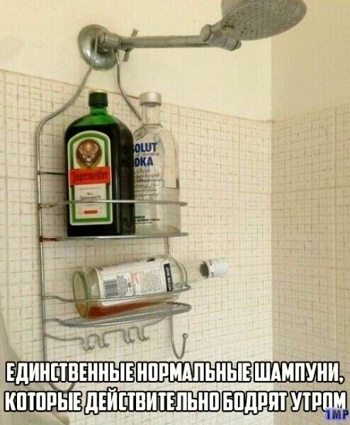 П П ЦППТ ЧПНГЁПТТШШП ДЦШіПЪЁШЬ А