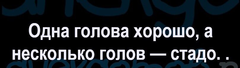 Одна голова хорошо а несколько голов стадо