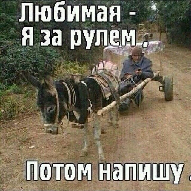 любимая я за рулем _ ЁЁЁ нотам напишу
