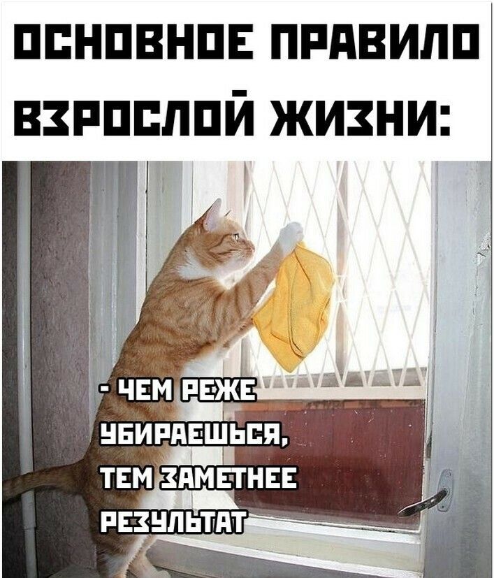 ппнпвнпв ппдвилп нзпппппй жизни ЭчвмпЕжв нвипяв ТЕМЕЗПМЕГНЕЕ РЕЗНПЬТПТ