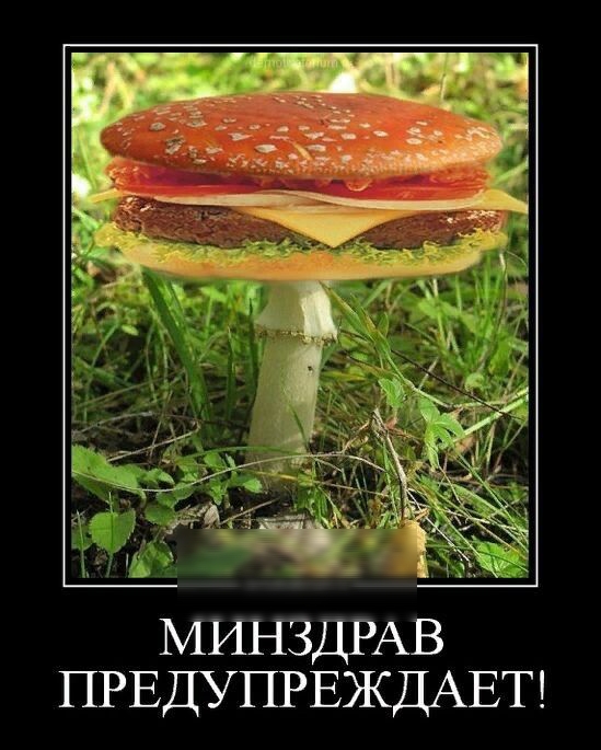 И МРШЗДРАВ ПРЕДУПРЕЖДАЕТ