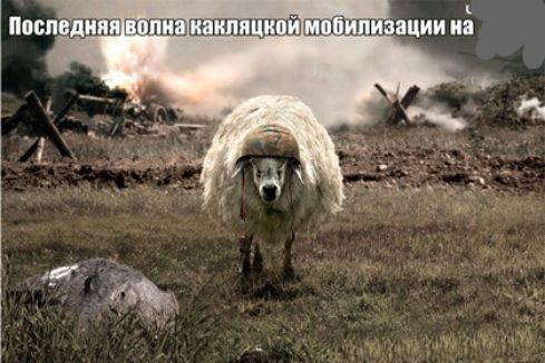 ПШК ДШИ