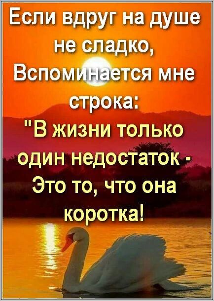 Если вдруг на душе не сладко Вспошдется мне строка В жизни только один недостаток Это то что она коротка