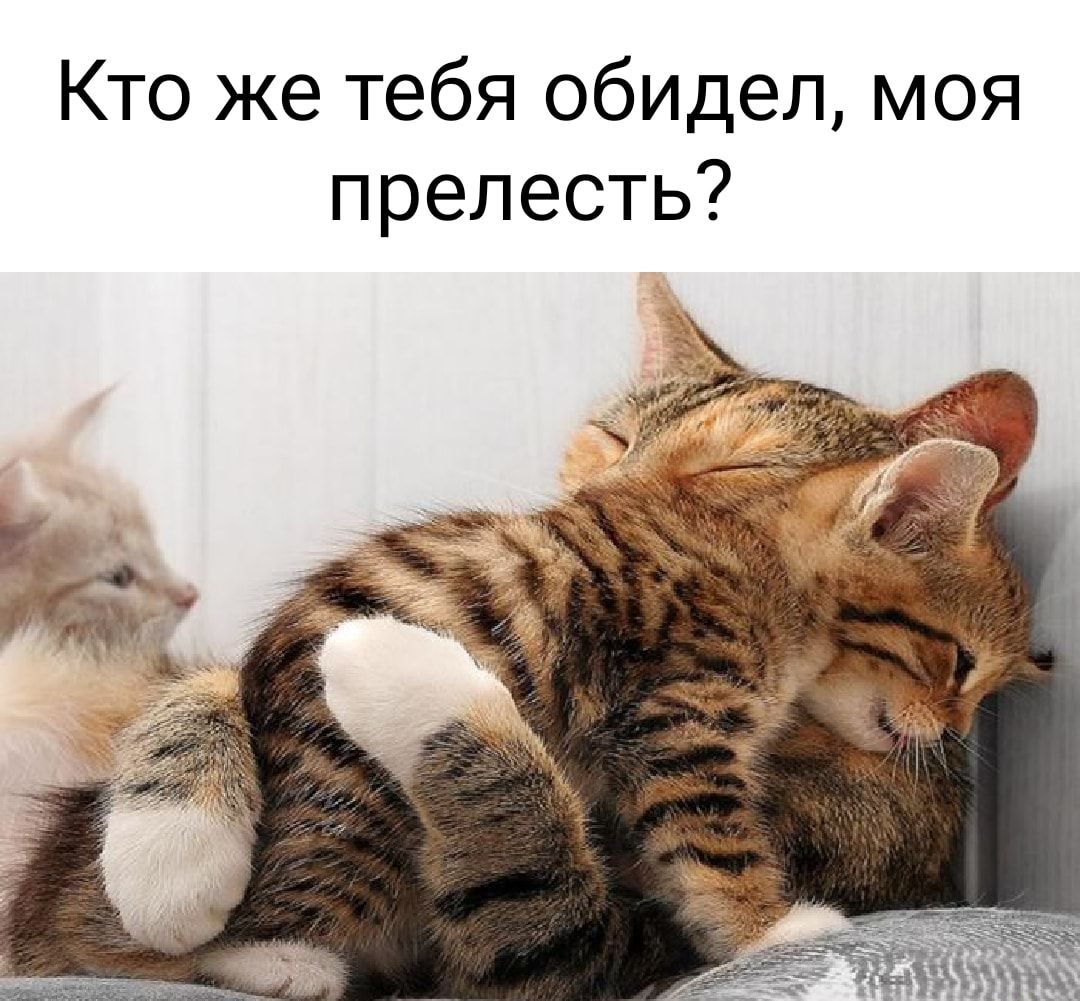 Кто же тебя обидел моя прелесть