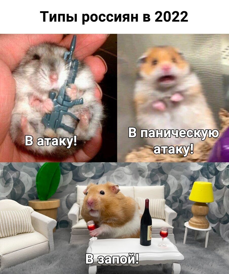 Типы россиян в 2022