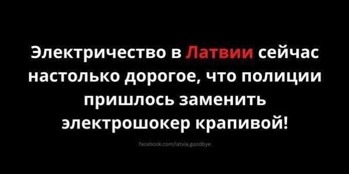 Электричество в Латвии сейча настолько дорогое что полиции пришлось заменить электрошокер крапивой