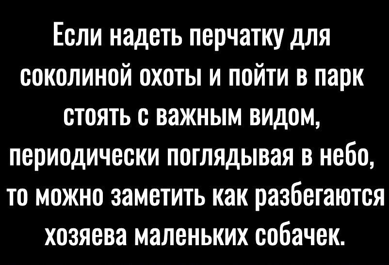 Если надеть перчатку для соколиной охоты и пойти в парк стоять с важным видом периодически поглядывая в небо то можно заметить как разбегаются хозяева маленьких собачек