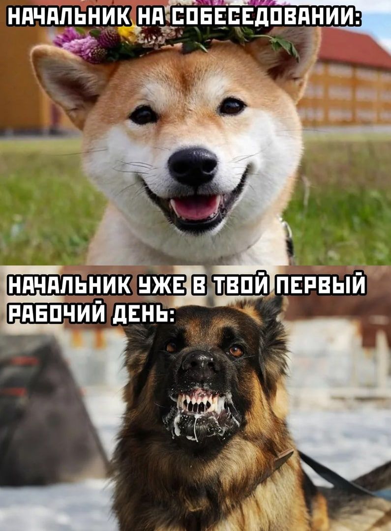 ннчдпёник до нпчппнник ц в твпй первый ппвпчий день