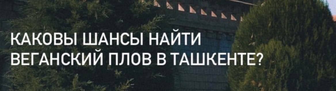 А Мь КАКОВЫ Ш_АНСЫ НАЙТИ ВЕГАНСКИИ ПЛОВ В ТАШКЕНТЕ