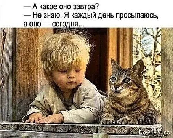 А какое оно завтра Не знаю Я каждый день просыпаюсь а ОНО _ СЭГ