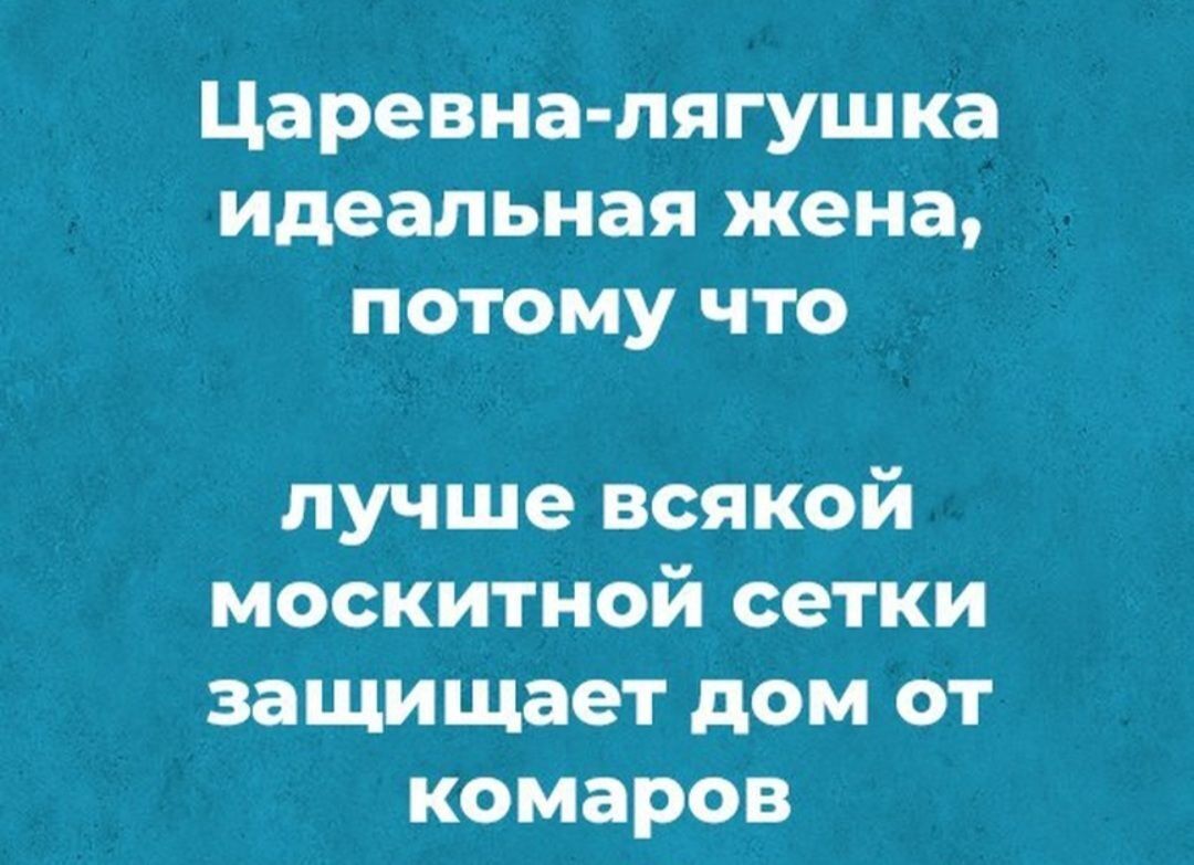 Царевна лягушка идеальная жена потому что лучше всякой москитиой сетки защищает дом от комаров