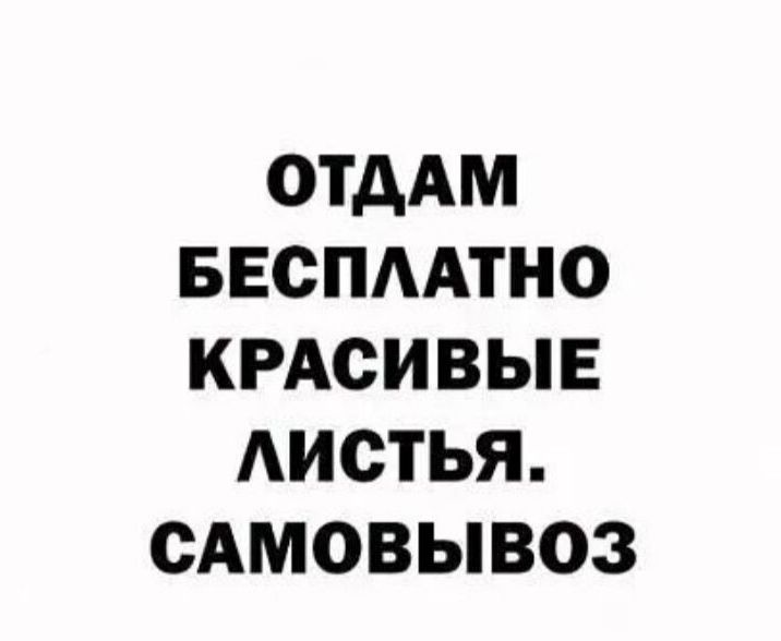 ОТДАМ БЕСПААТНО КРАСИВЫЕ АИОТЬЯ САМОВЫВОЗ